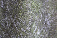 Winder fibreglass roof work